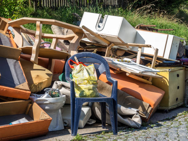Best Basement Cleanout Services  in Orlinda, TN