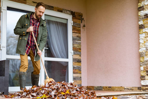 Best Full-Service Junk Removal  in Orlinda, TN
